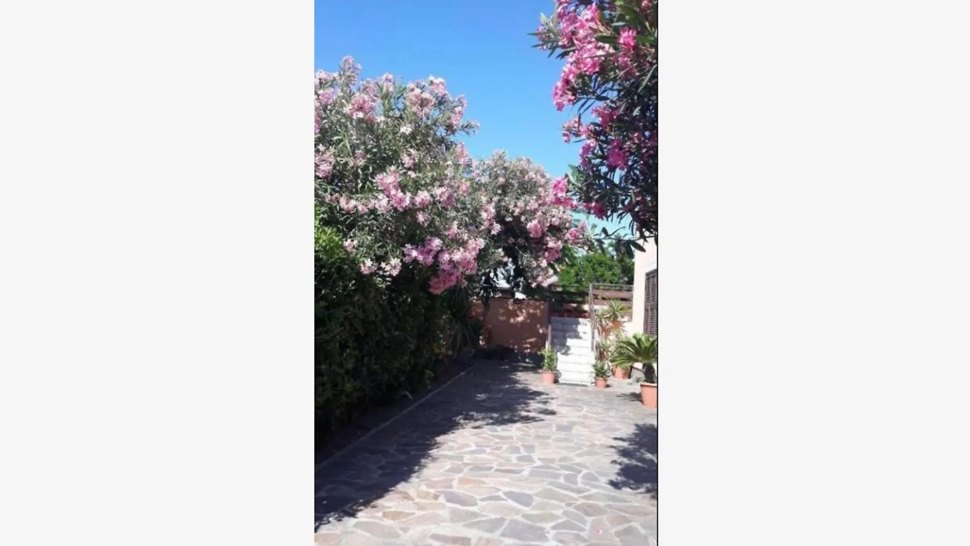 Bed and Breakfast Sabrina Airport Fiumicino