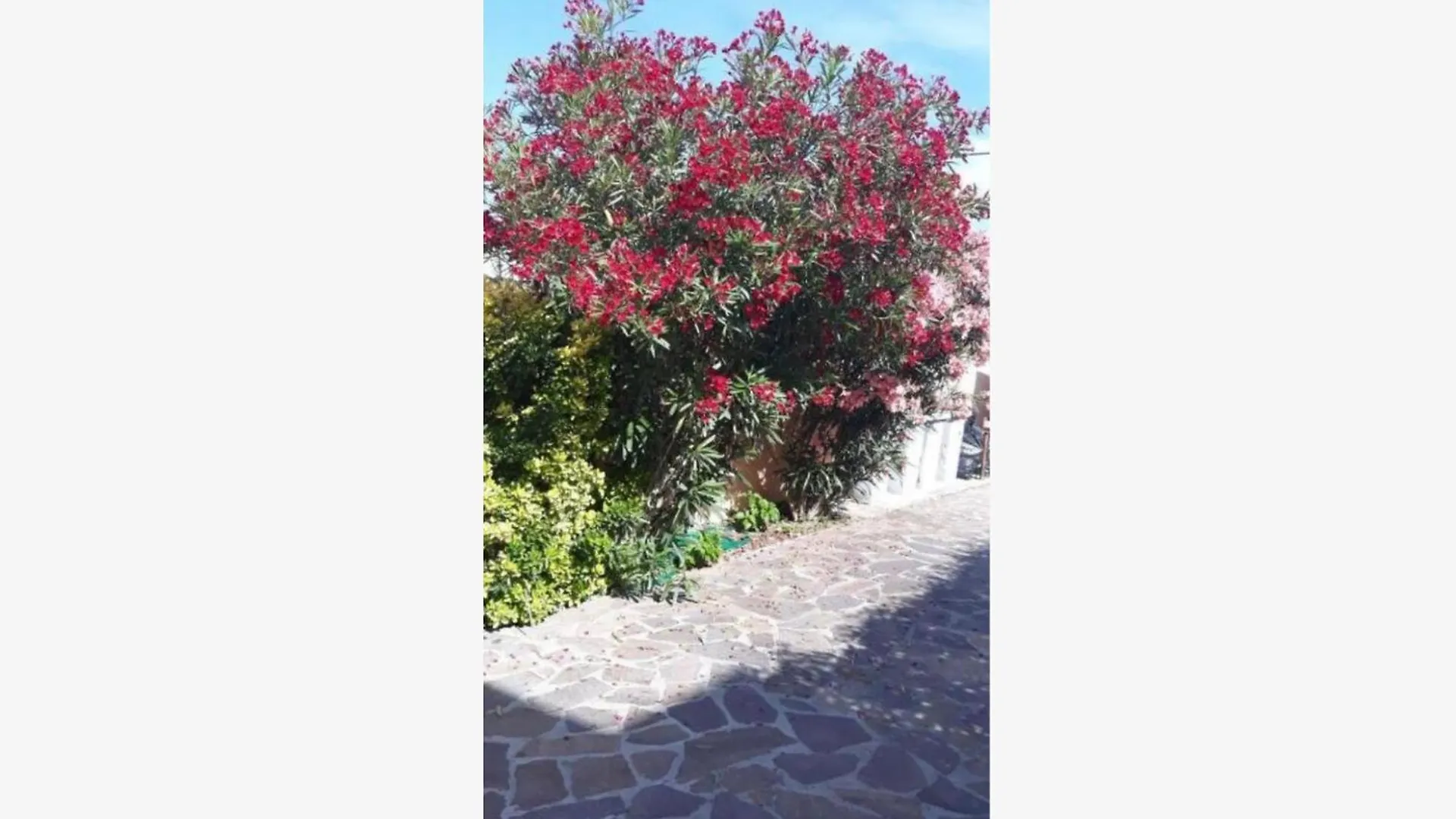 Bed & Breakfast Sabrina Airport Bed and Breakfast Fiumicino