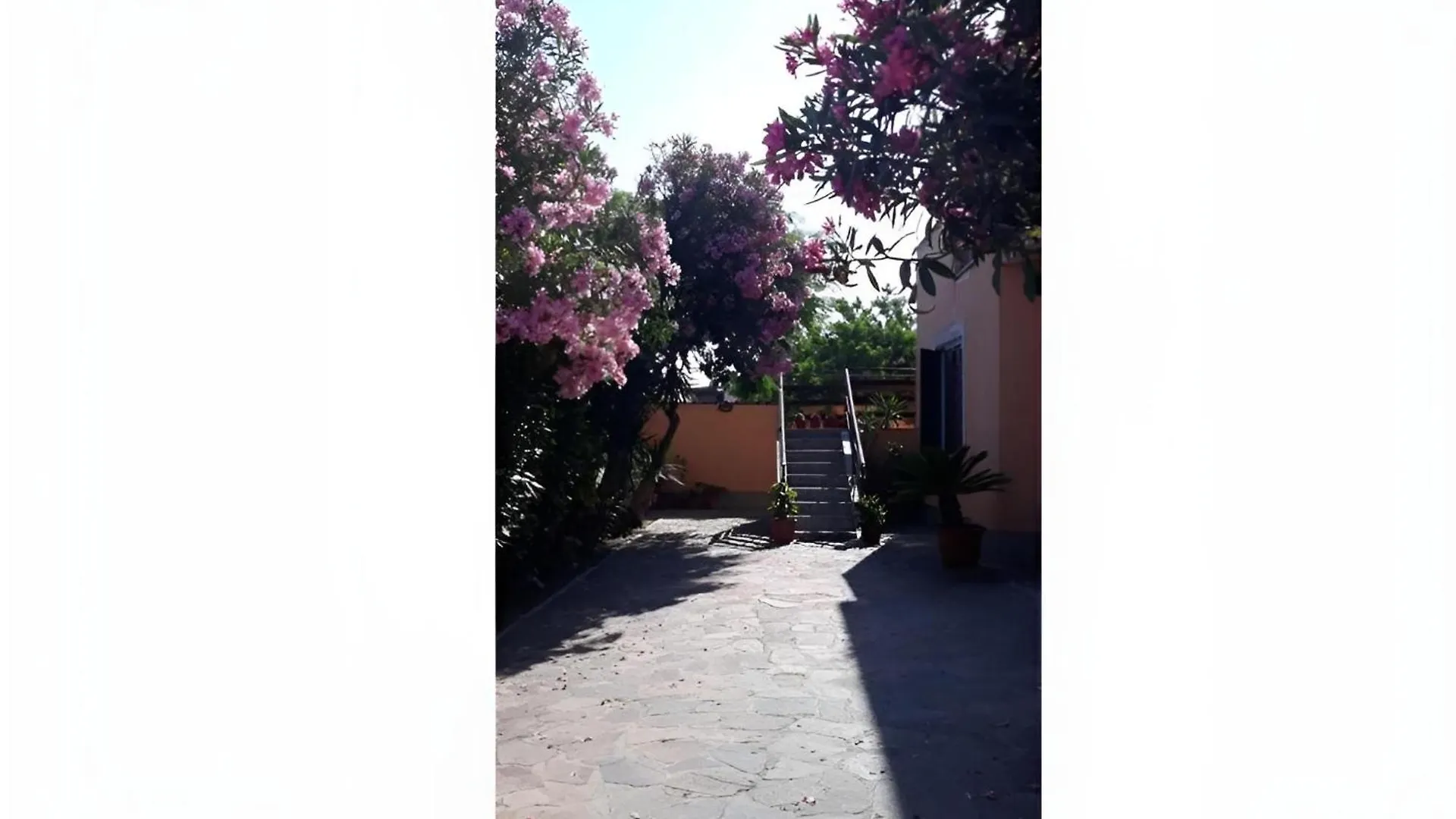 Sabrina Airport Bed & Breakfast Fiumicino