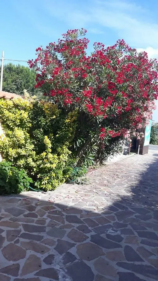 Sabrina Airport Bed and Breakfast Fiumicino